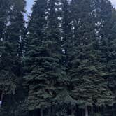 Review photo of Tanana Valley Campground by MG S., November 10, 2025