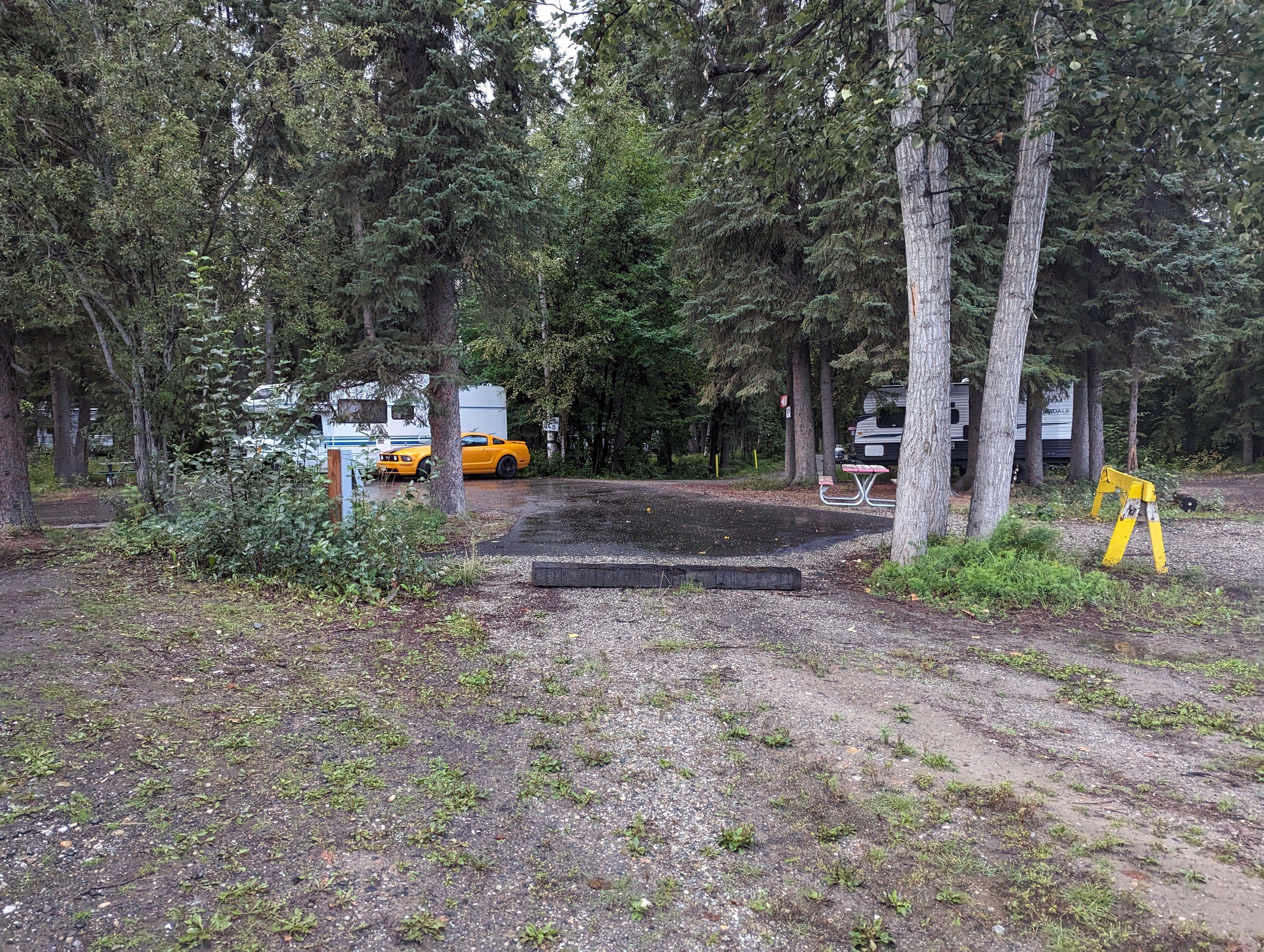 Camper submitted image from Tanana Valley Campground - 4