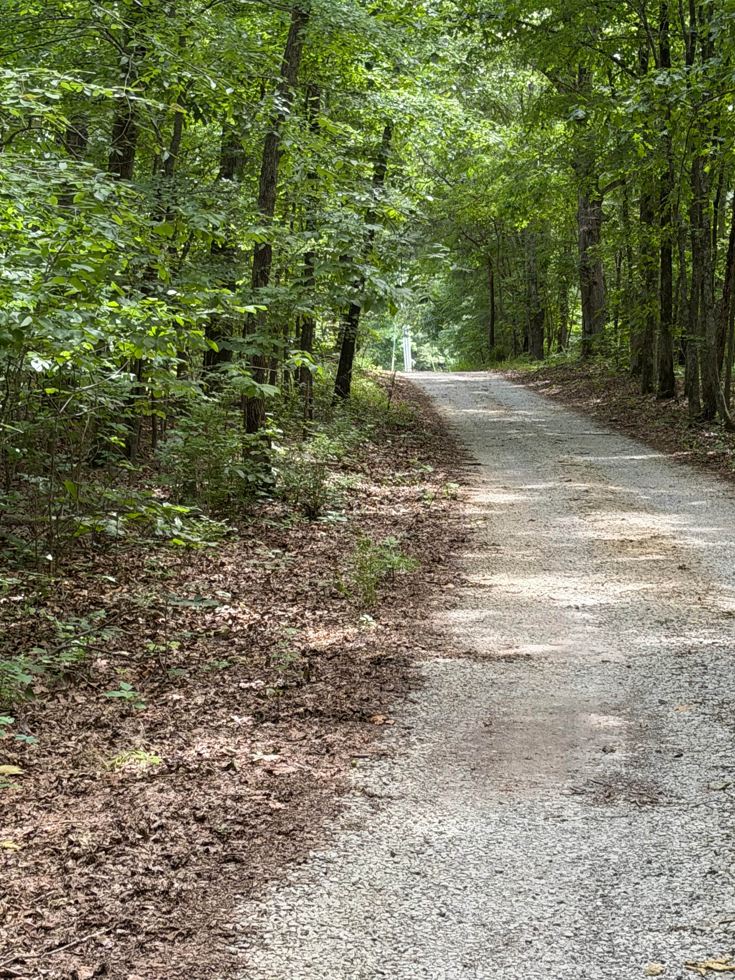 Roads