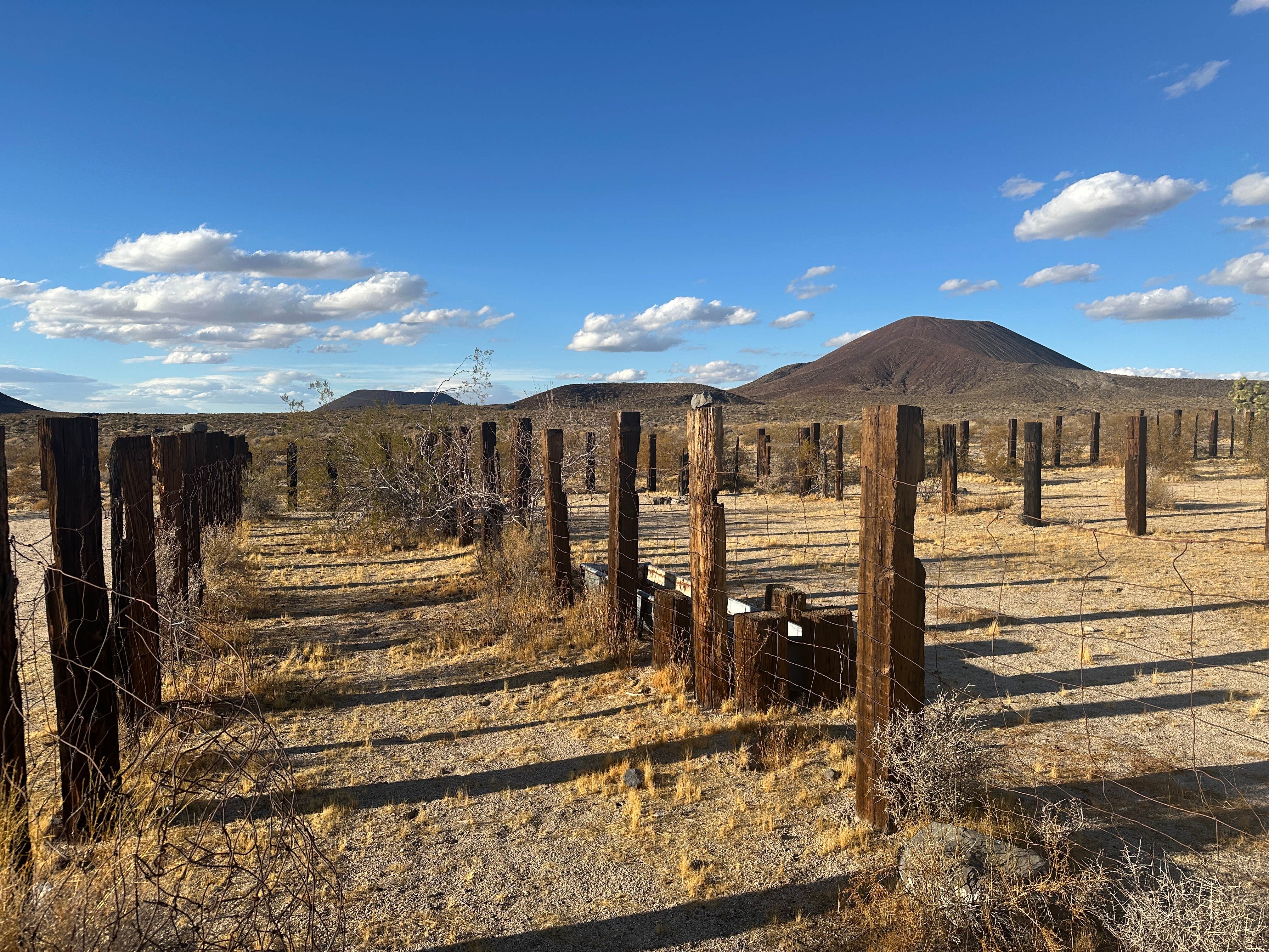 Camper-submitted photo at Tank Six Camp near Baker, CA