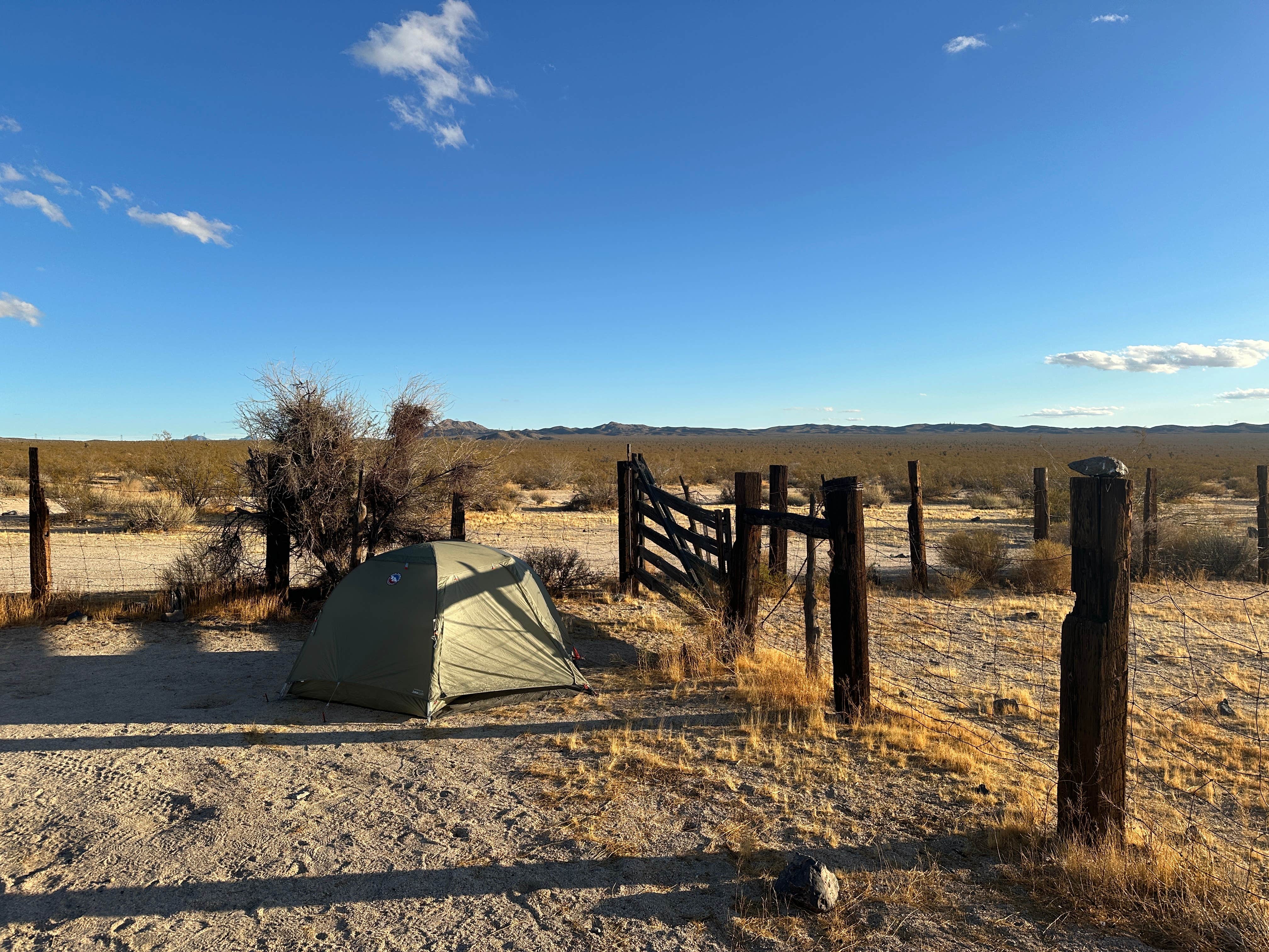 Camping near Arrowhead Trail Dispersed: Tank Six Camp, Cima, California
