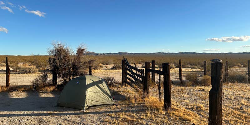 Camper submitted image from Tank Six Camp