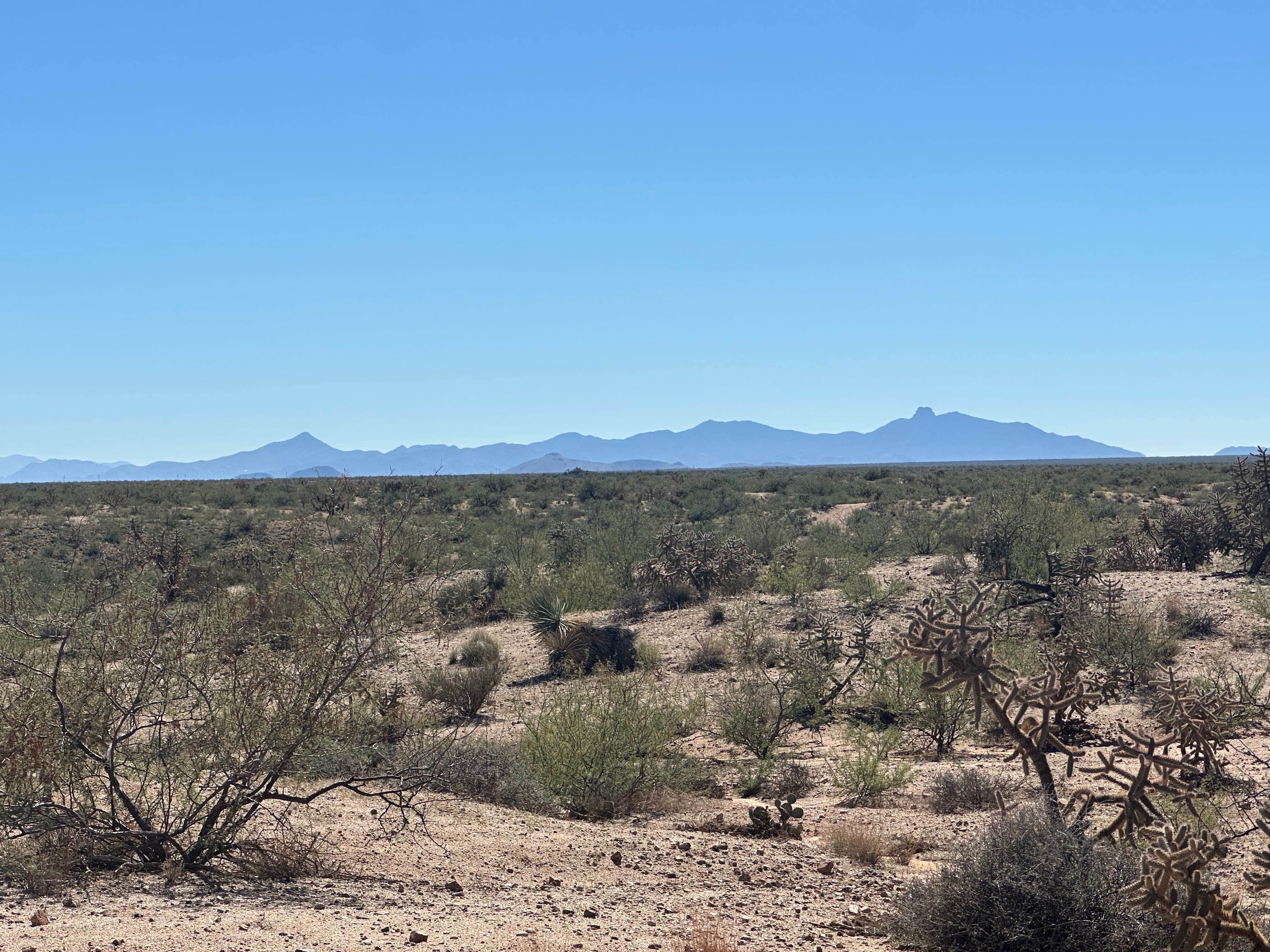 Camper-submitted photo at Tanque Road near Pima, AZ