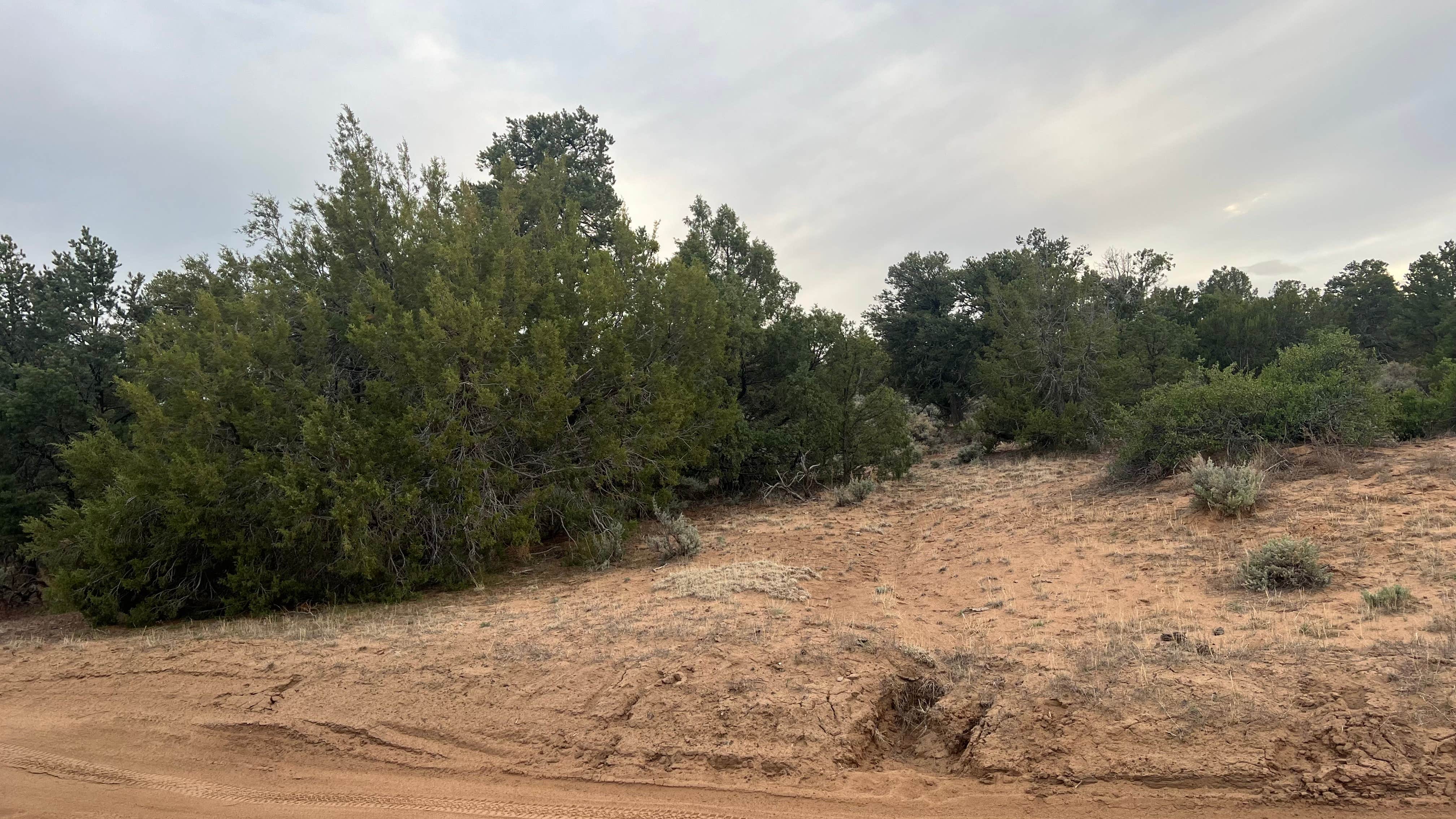 Camper-submitted photo at Taos Junction near Carson, NM