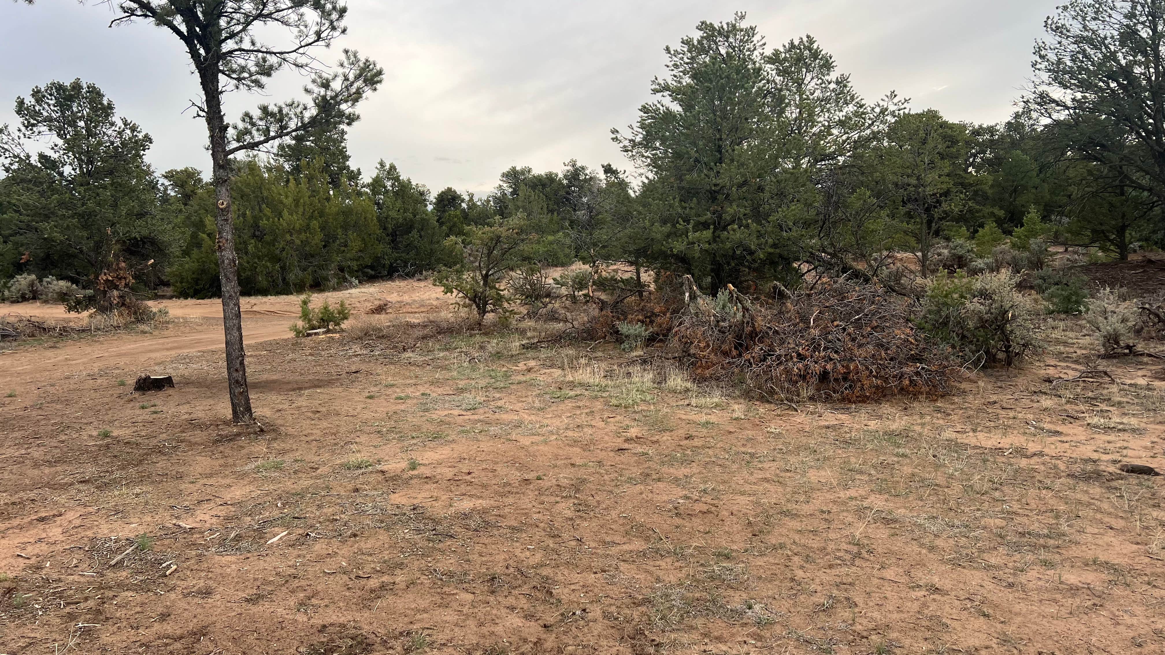 Camper-submitted photo at Taos Junction near Carson, NM