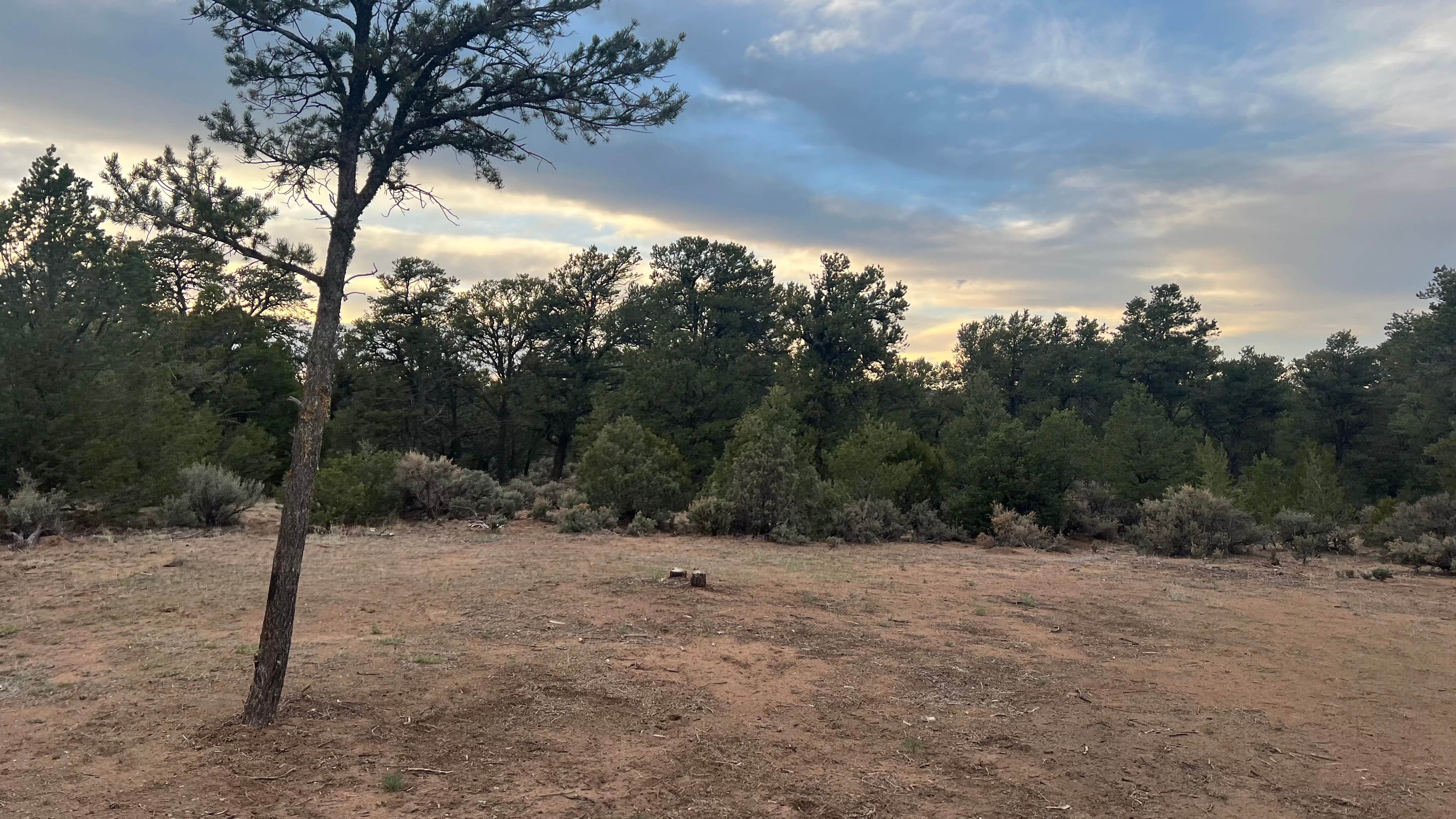 Camper-submitted photo at Taos Junction near Carson, NM