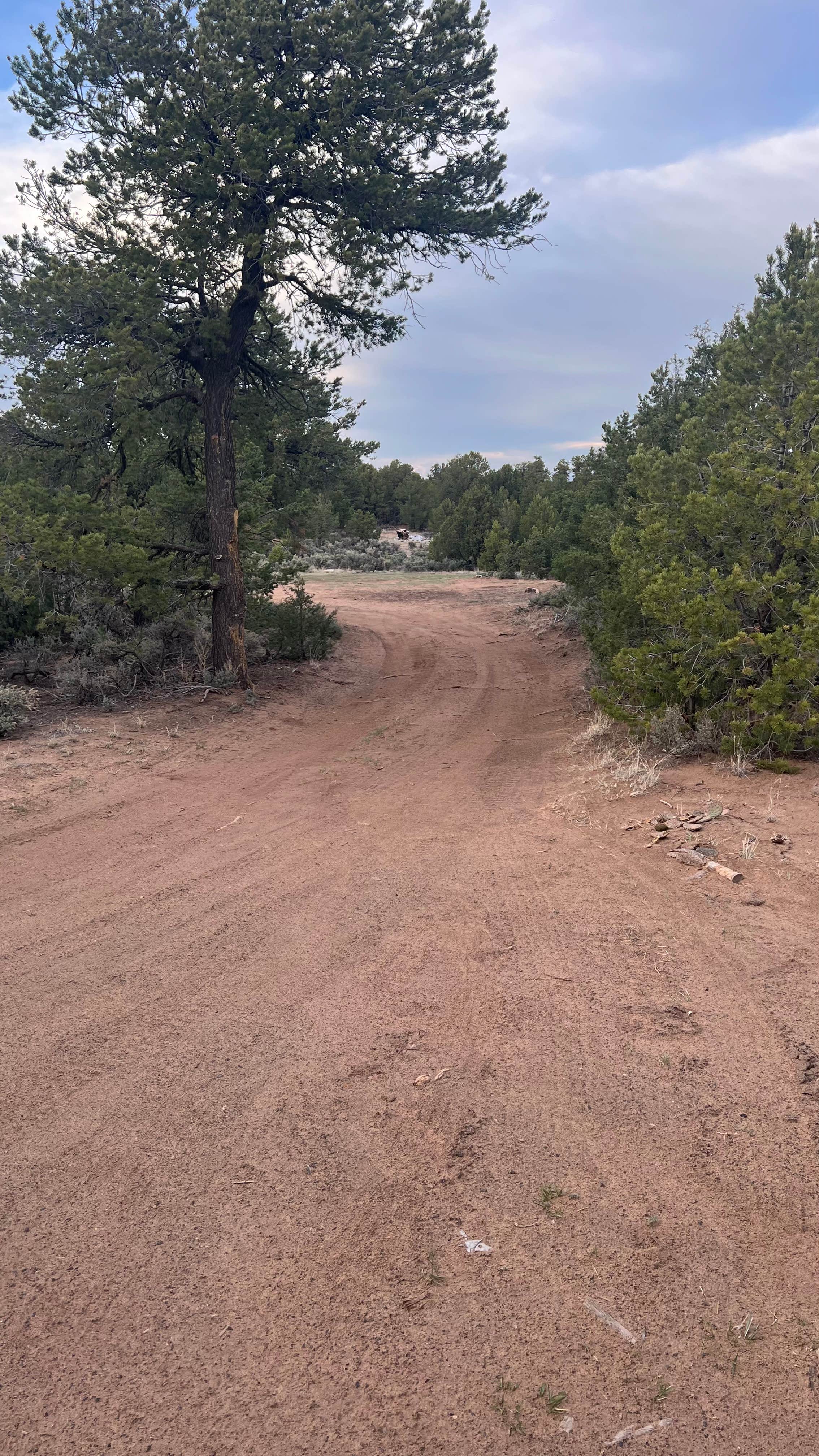 Camper-submitted photo at Taos Junction near Carson, NM