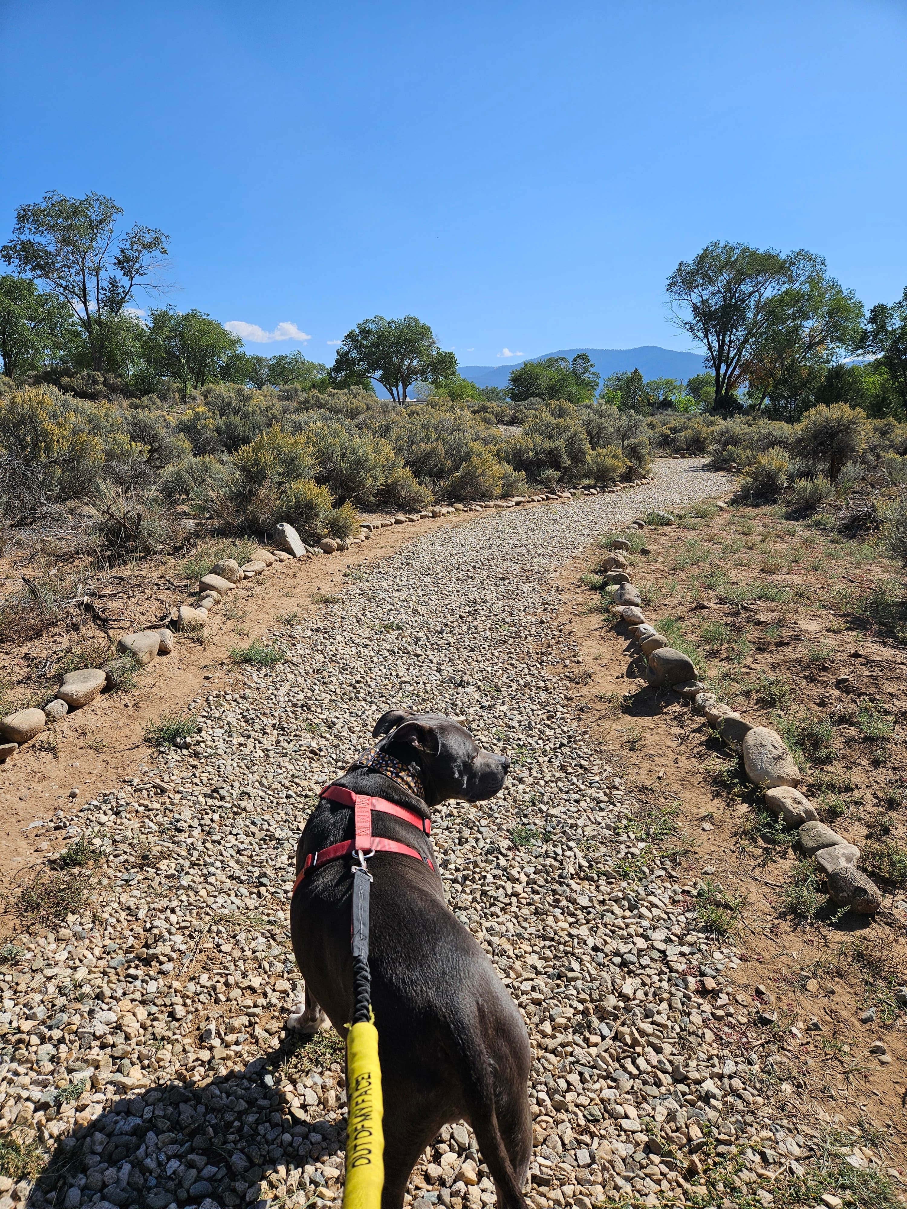 Stefanie S.'s photo of camping with pets at Taos Valley RV Park & Campground near Ojo Caliente, NM
