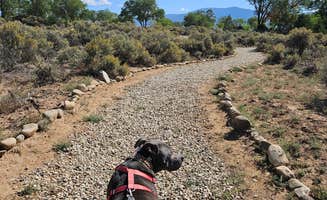 Stefanie S.'s photo of camping with pets at Taos Valley RV Park & Campground near Vadito, NM