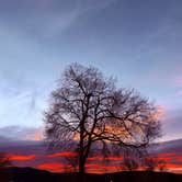 Review photo of Taos Valley RV Park & Campground by Angela R., April 4, 2026
