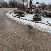 Review photo of Taos Valley RV Park & Campground by Angela R., April 4, 2026