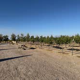 Review photo of DeathValley Camp by Morgan R., July 20, 2026