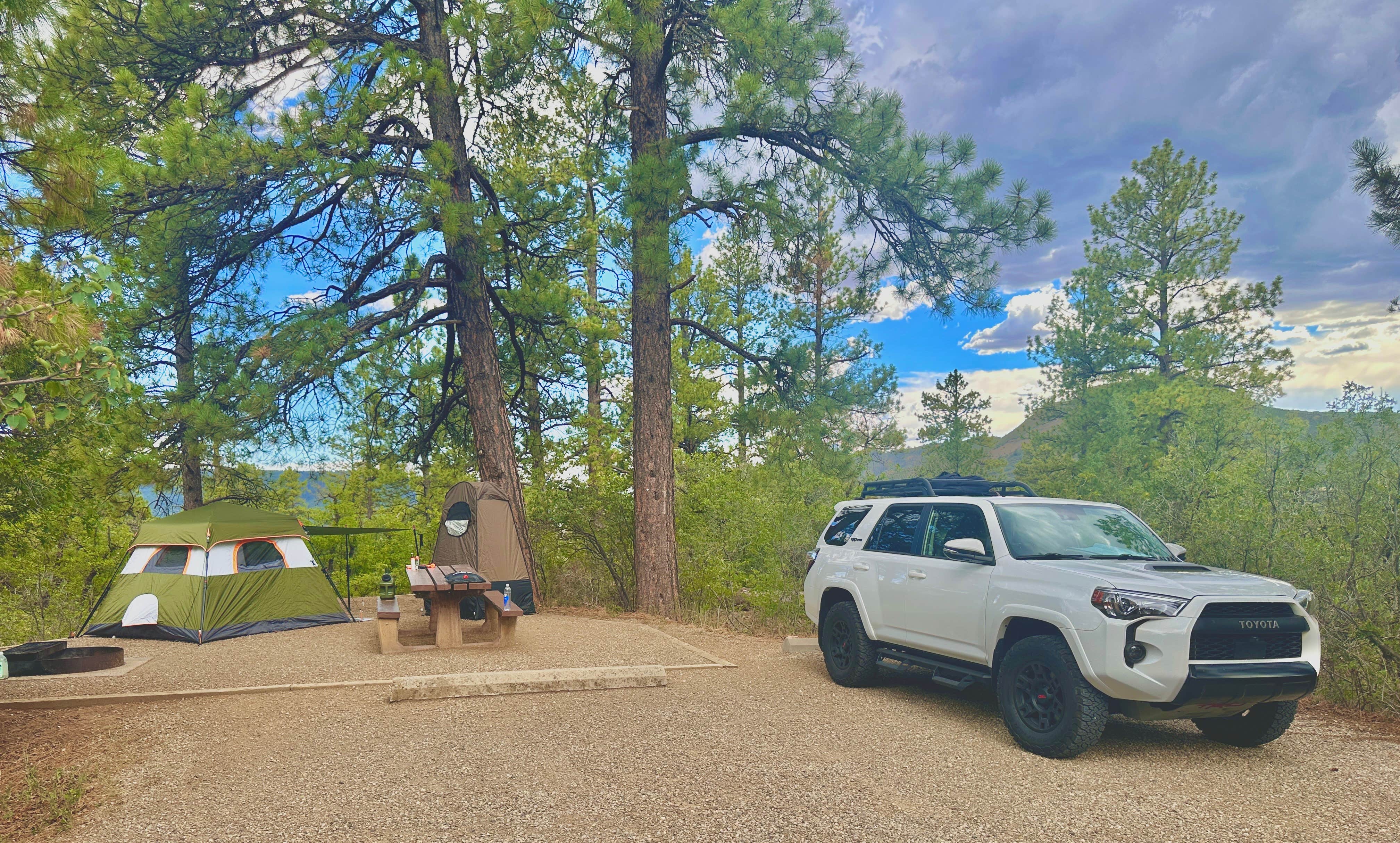 lora B.'s photo at Target Tree Campground near Mancos, CO