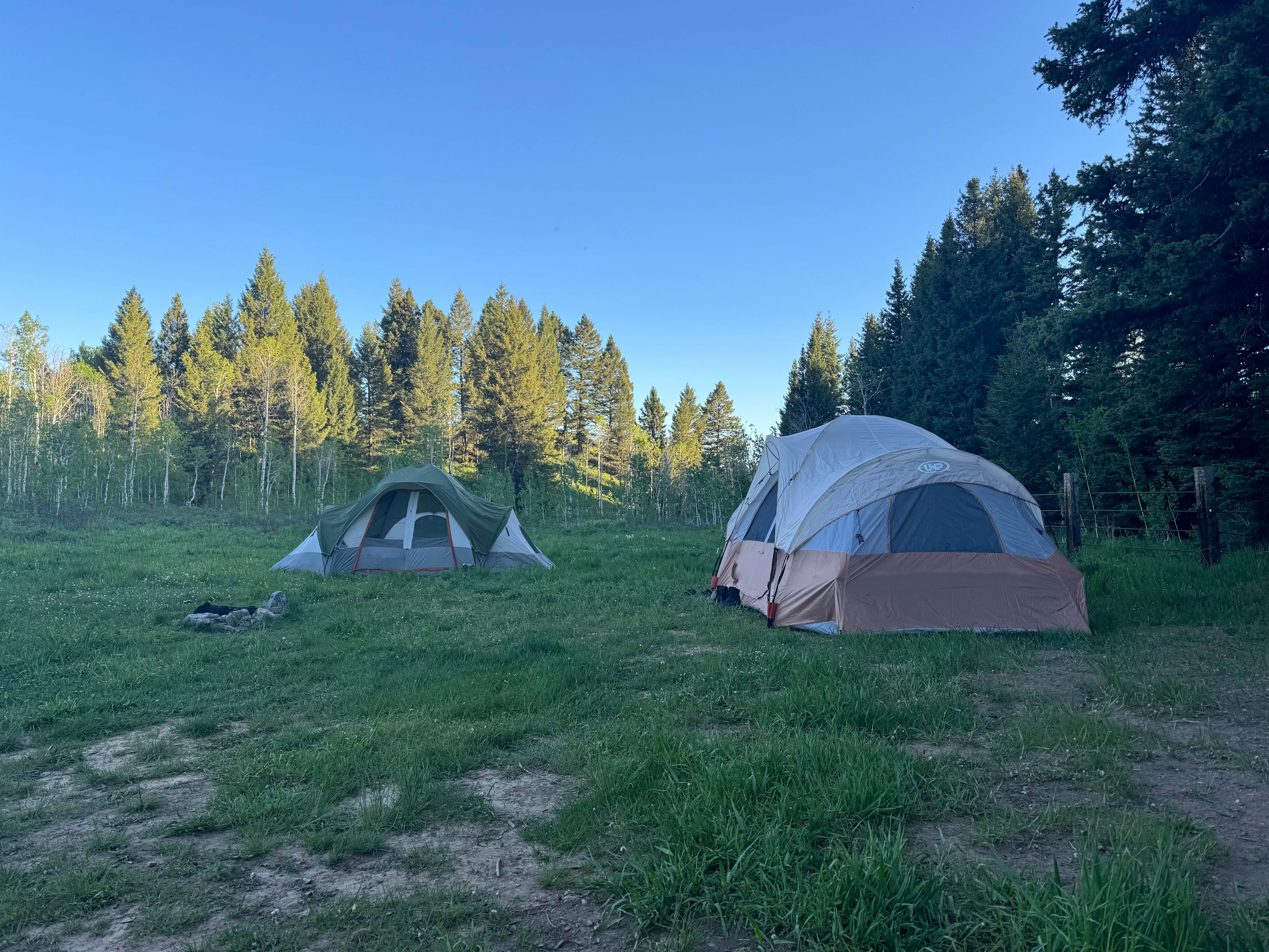 Kouper B.'s photo of tent camping at Targhee Creek near Custer Gallatin National Forest