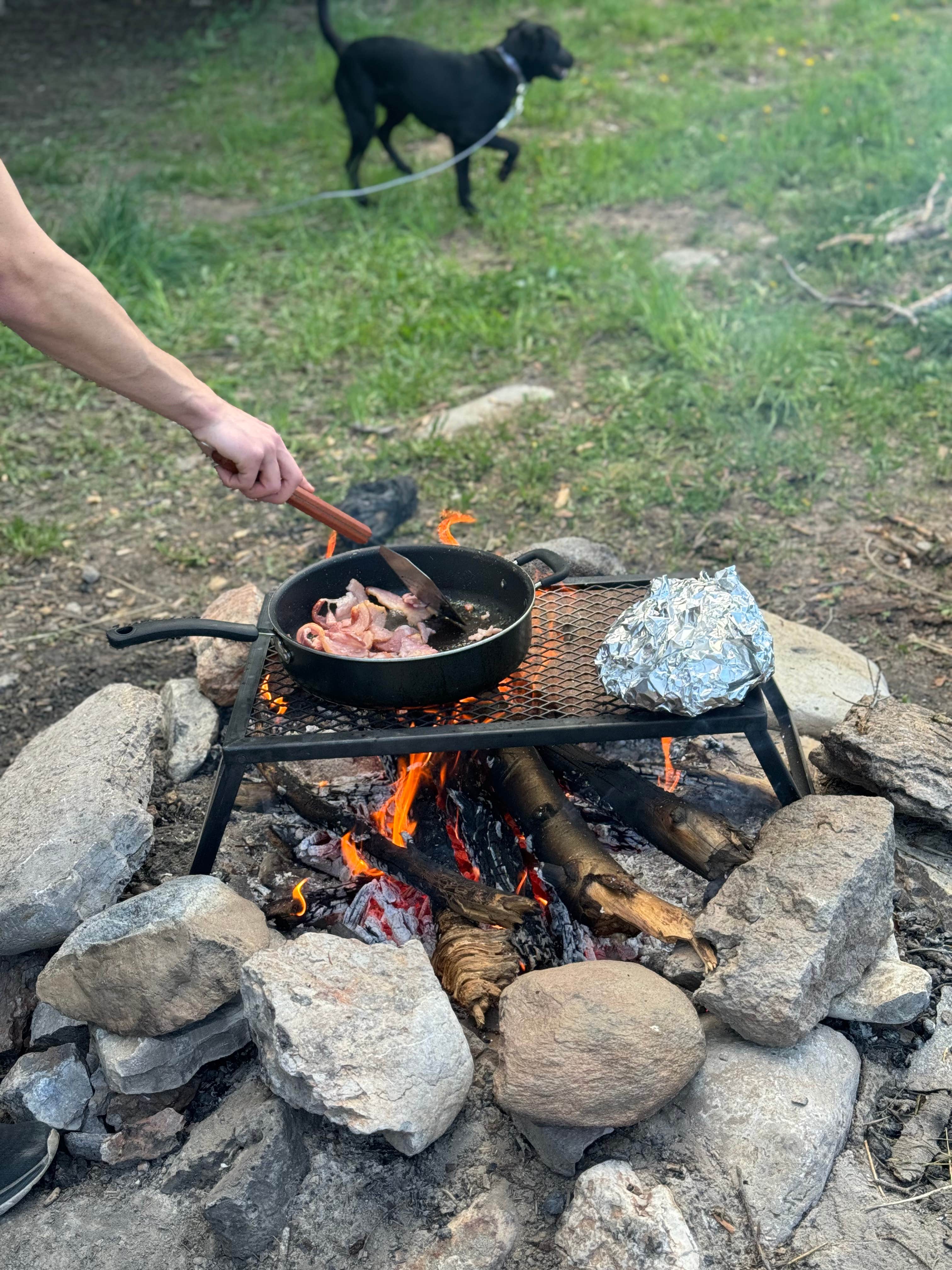 Kouper B.'s photo of camping with pets at Targhee Creek near West Yellowstone, MT