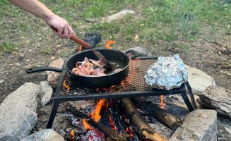 Kouper B.'s photo of camping with pets at Targhee Creek near West Yellowstone, MT