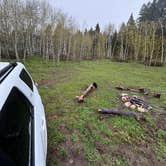 Review photo of Targhee Creek by Danielle S., May 21, 2025