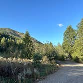 Review photo of Big Elk Creek Campground by Jessica L., September 3, 2024