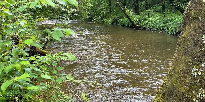 Camper submitted image from Tate Branch Campground (Clayton, Ga) — Chattahoochee Oconee National Forest