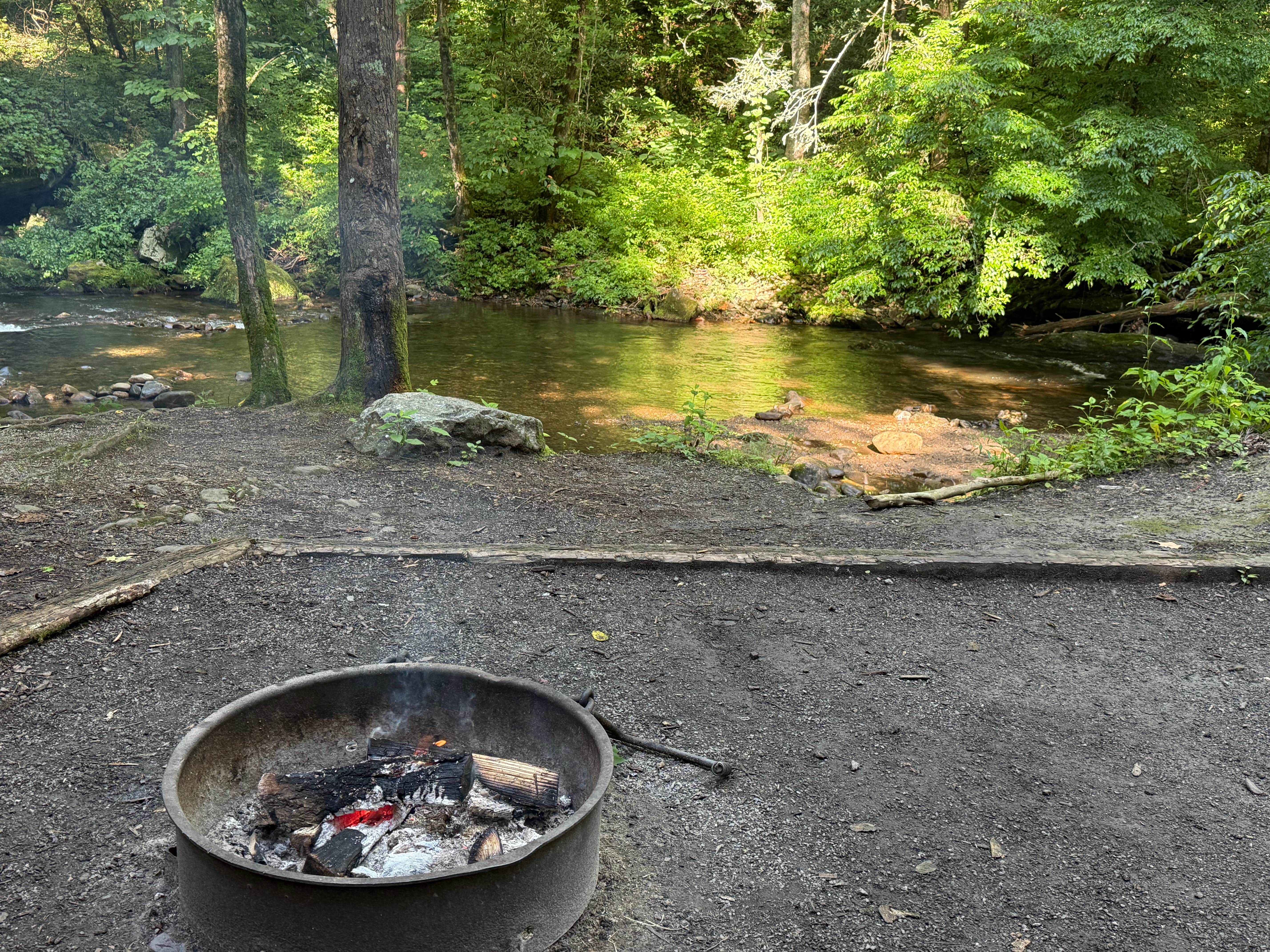 Camping near Moccasin Creek State Park Campground: Tate Branch Campground — Chattahoochee Oconee National Forest, Rabun Gap, Georgia