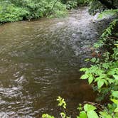 Review photo of Tate Branch Campground — Chattahoochee Oconee National Forest by Robert G., May 25, 2026