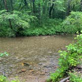 Review photo of Tate Branch Campground (Clayton, Ga) — Chattahoochee Oconee National Forest by Robert G., May 25, 2026