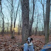 Review photo of Taum Sauk Mountain State Park Campground by Logan W., November 20, 2023