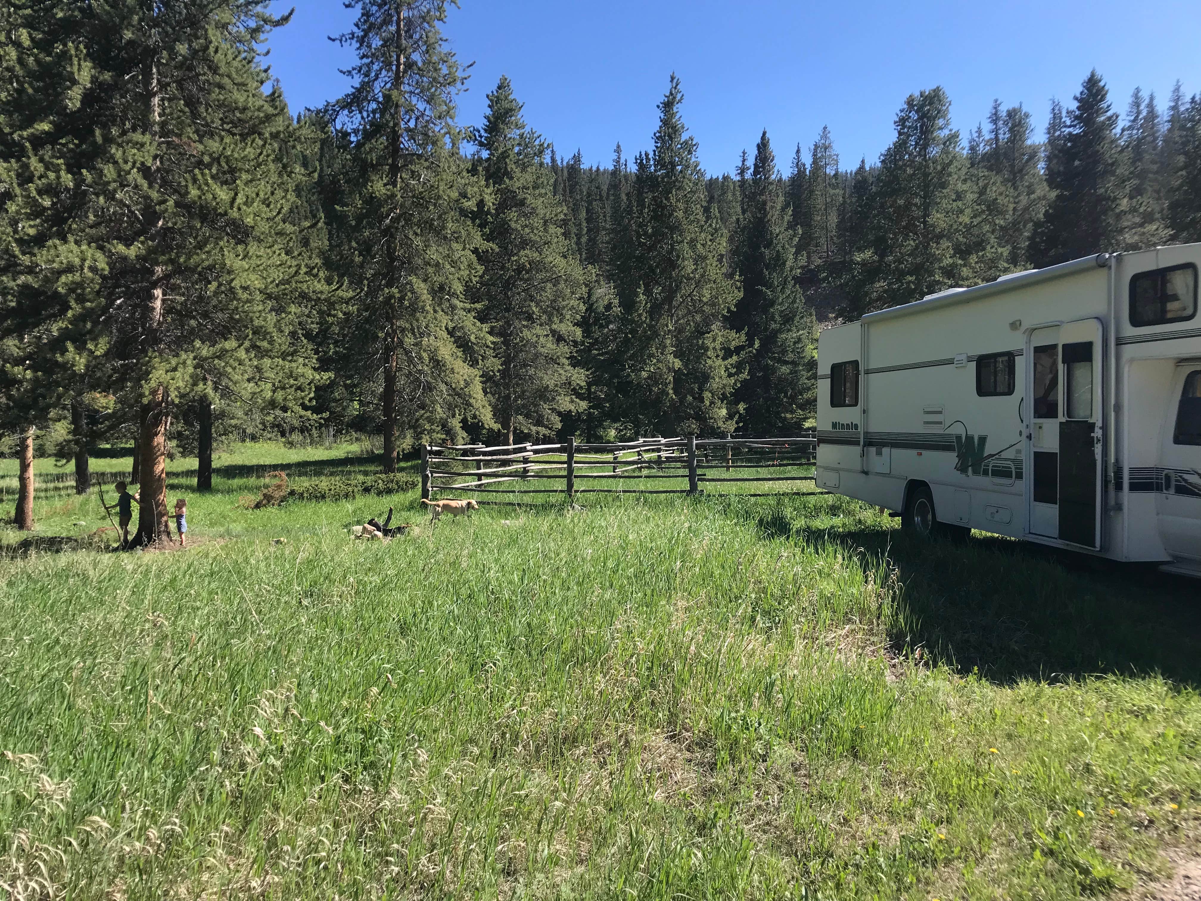 Camper-submitted photo at Taylor Fork Road Dispersed near Yellowstone National Park