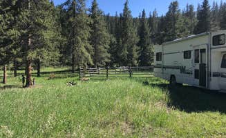 Risen F.'s photo of camping with pets at Taylor Fork Road Dispersed near Ennis, MT