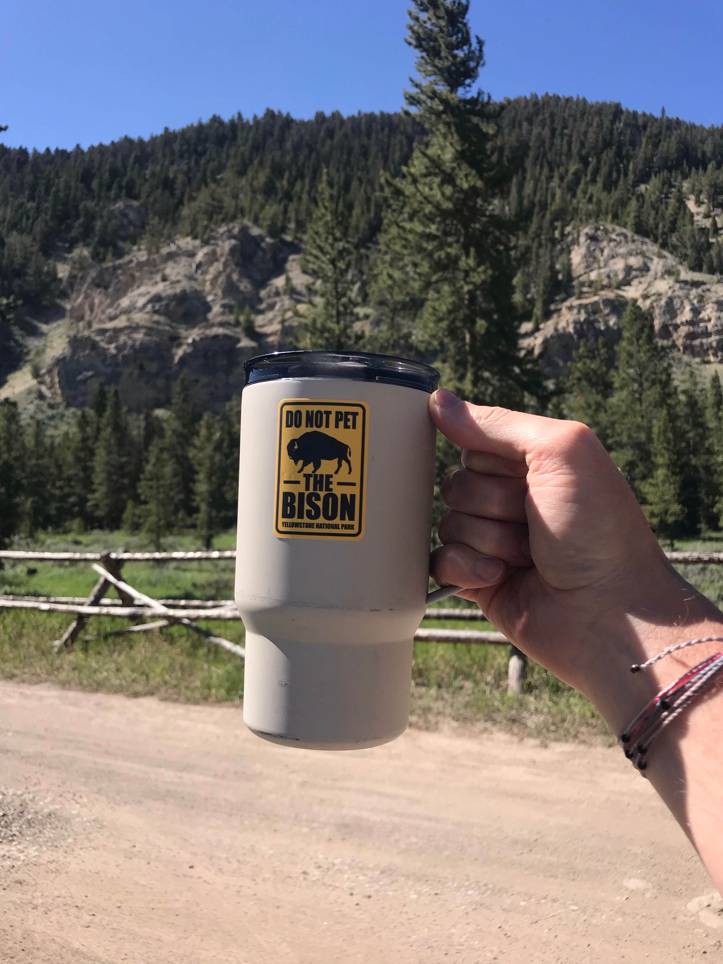 Camper-submitted photo at Taylor Fork Road Dispersed near Yellowstone National Park