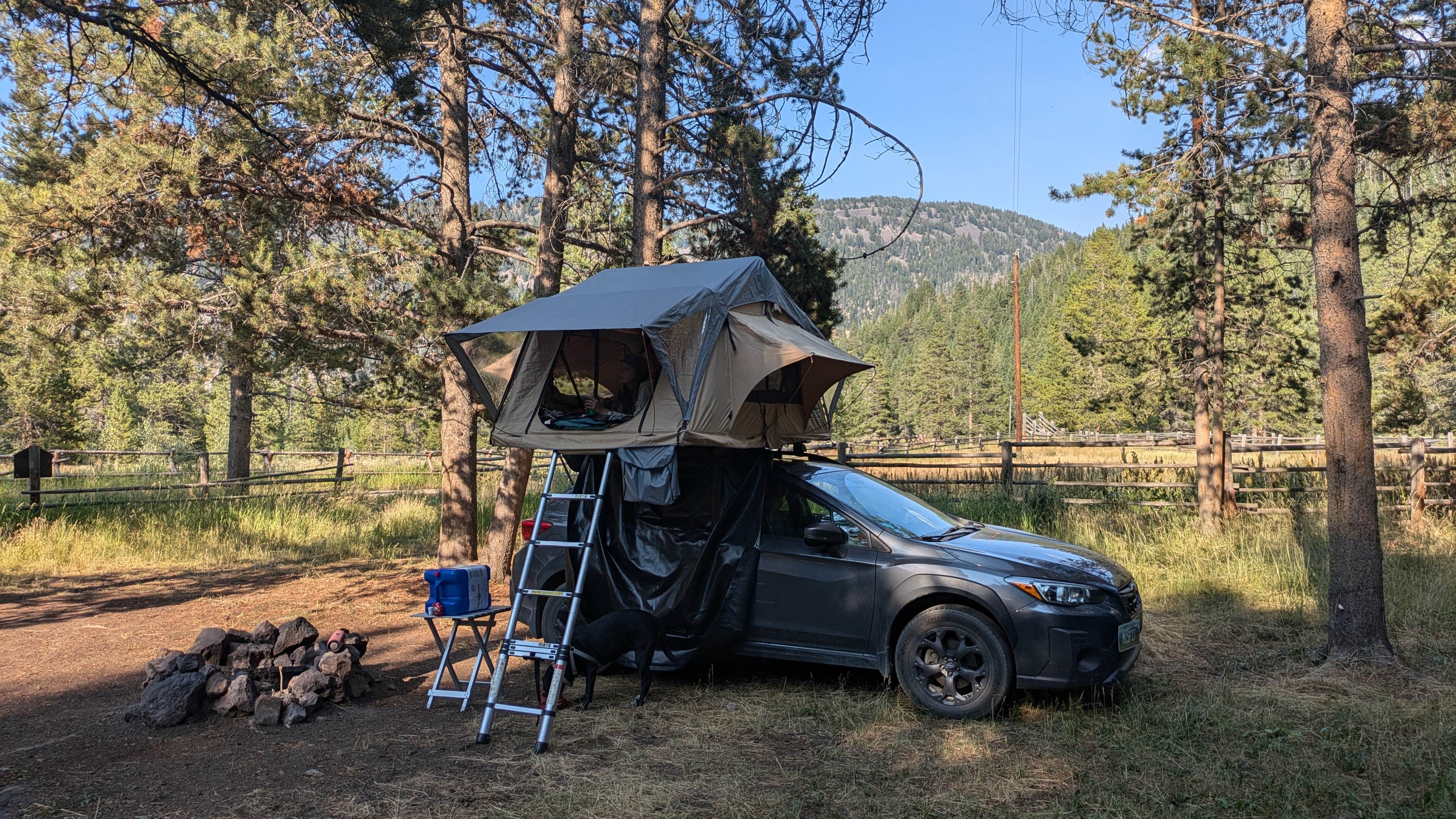Camper-submitted photo at Taylor Fork Road Dispersed near Yellowstone National Park