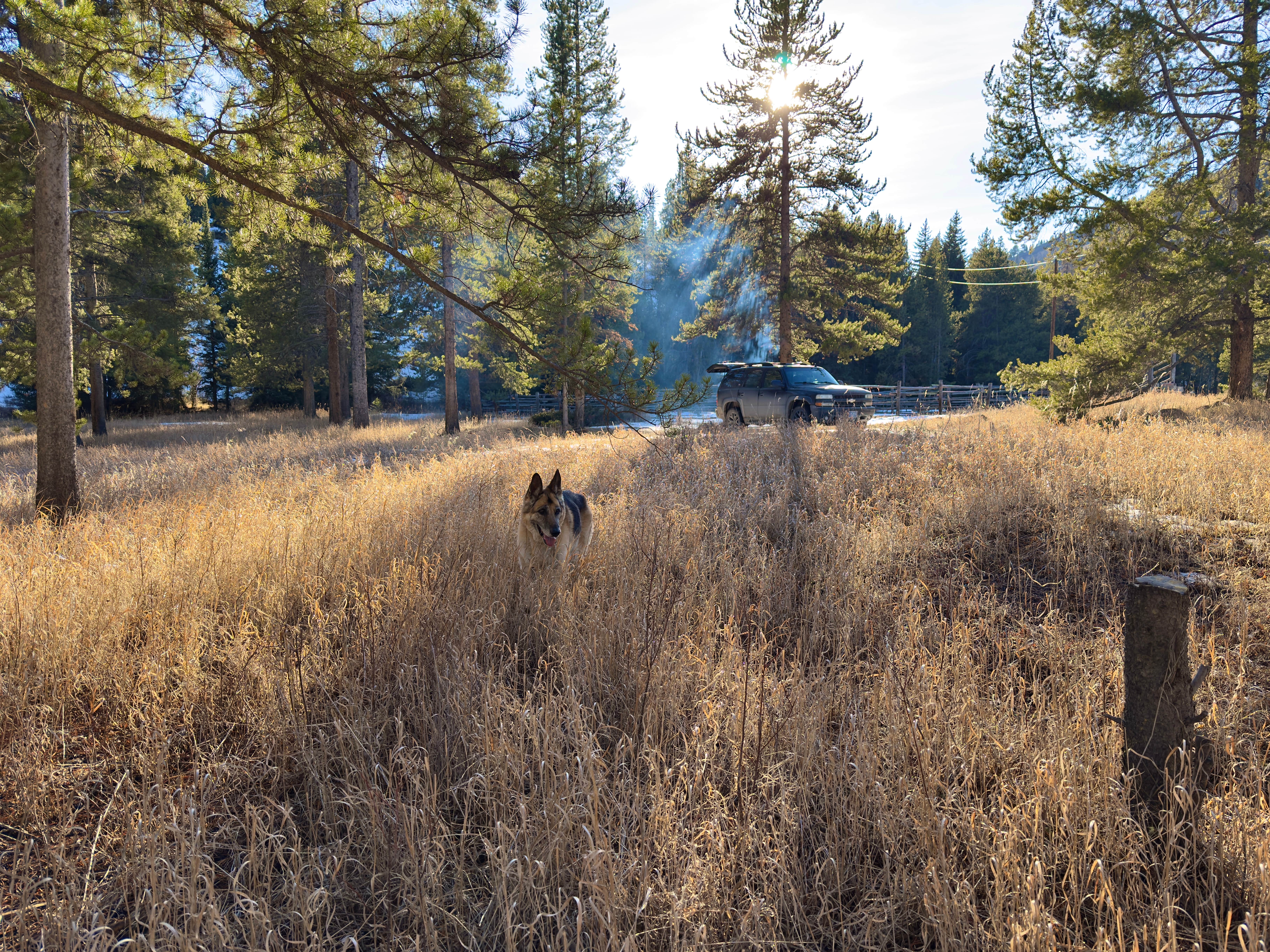 Camper-submitted photo at Taylor Fork Road Dispersed near Cameron, MT