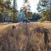 Review photo of Taylor Fork Road Dispersed by T S., March 20, 2026