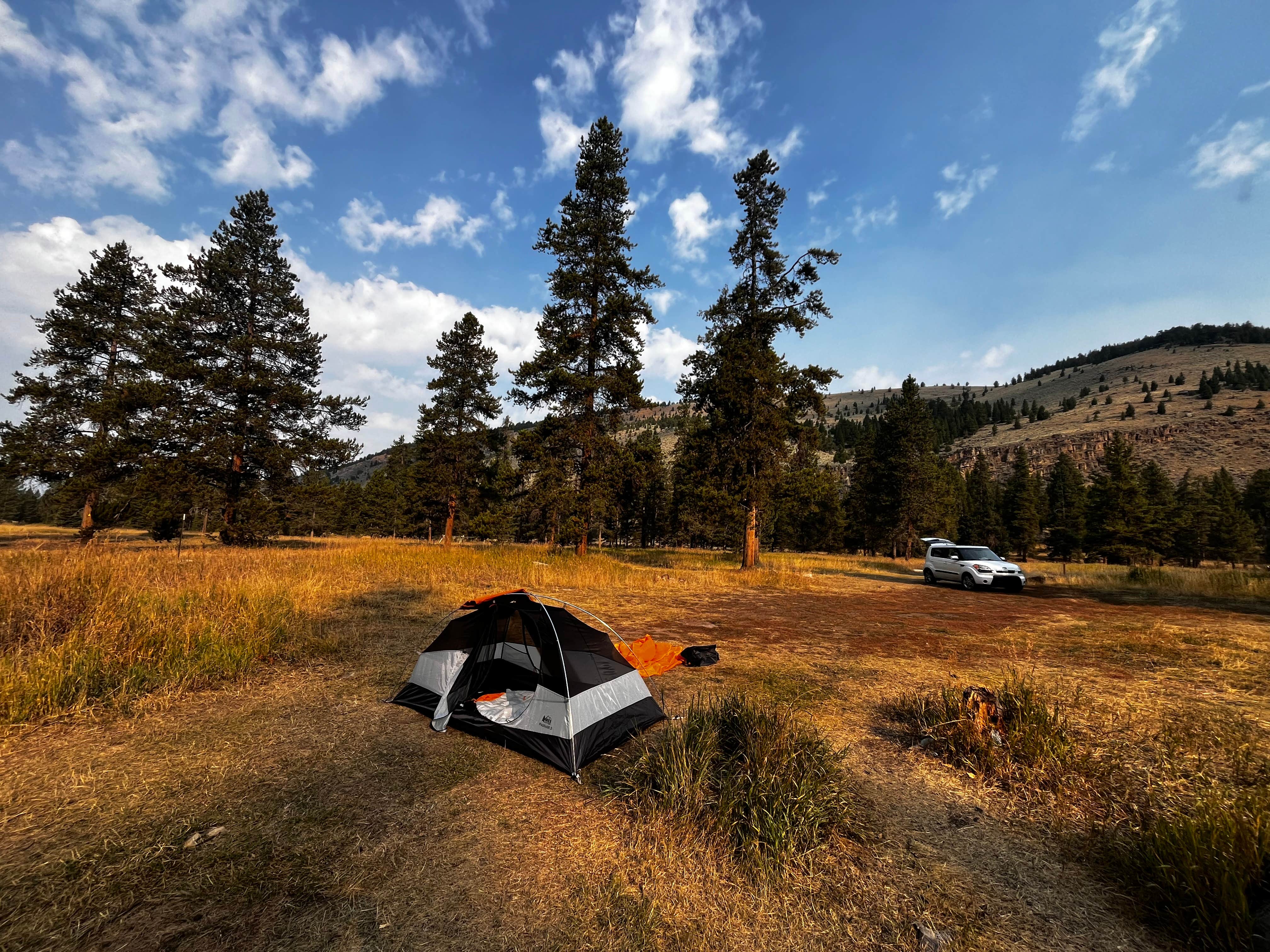 Camper-submitted photo at Taylor Fork Road Dispersed near Yellowstone National Park