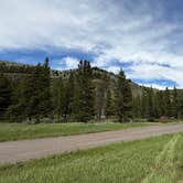 Review photo of Taylor Fork Road Dispersed by Topher , June 24, 2026