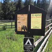 Review photo of Taylor Fork Road Dispersed by Risen F., June 9, 2025