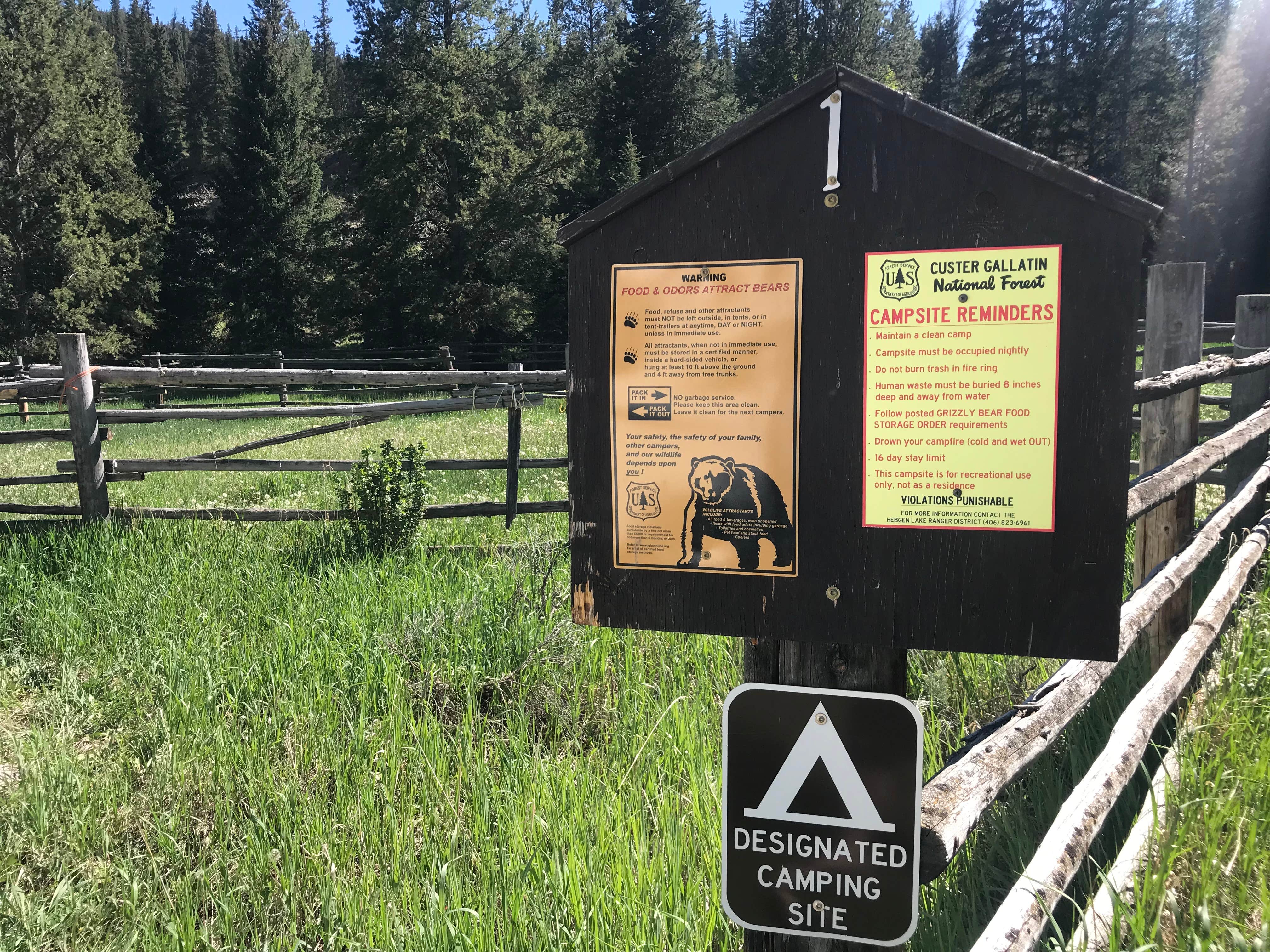 Camper submitted image from Taylor Fork Road Dispersed - 5