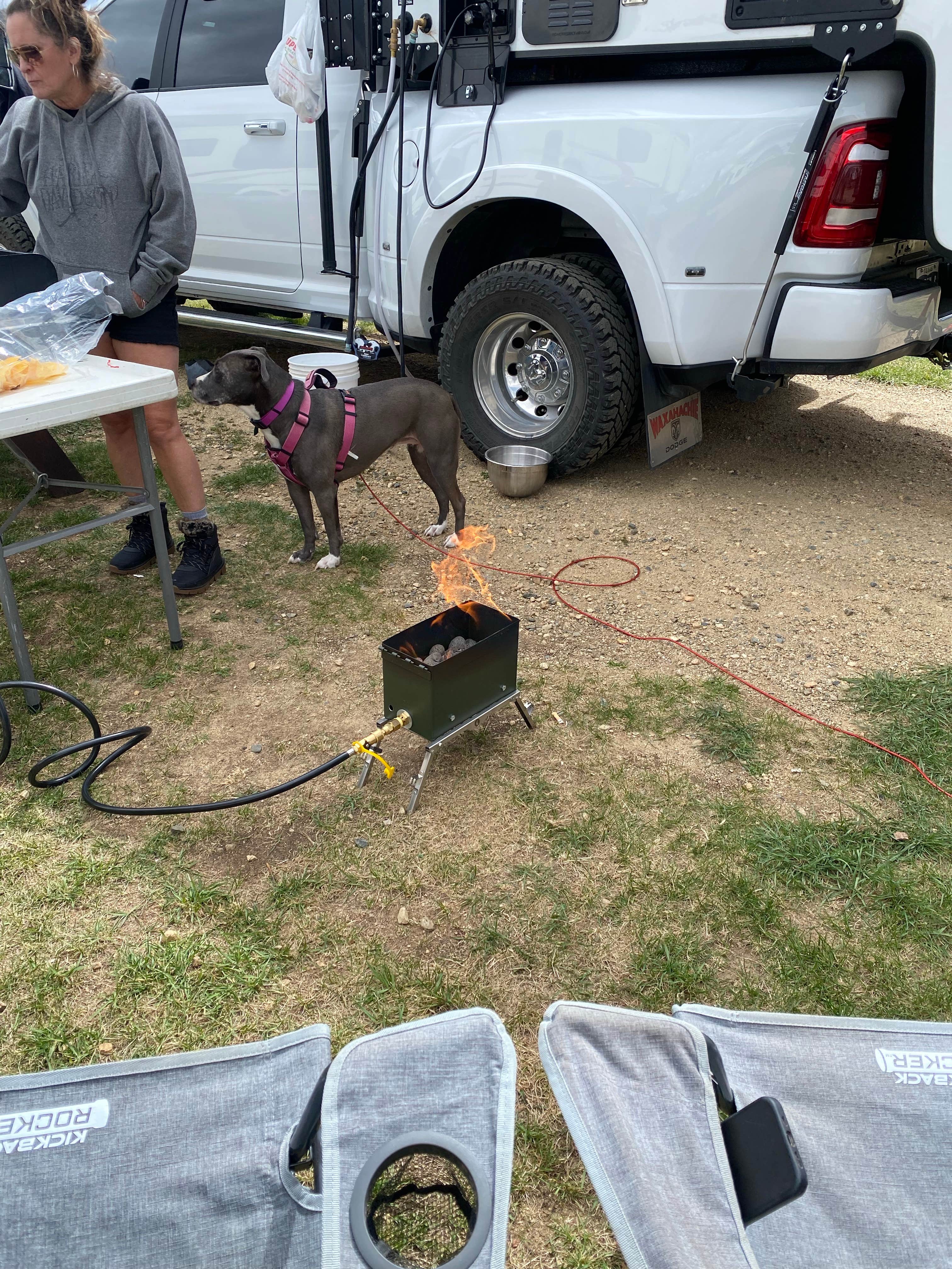 Jason S.'s photo of camping with pets at Taylor Park Trading Post near Almont, CO