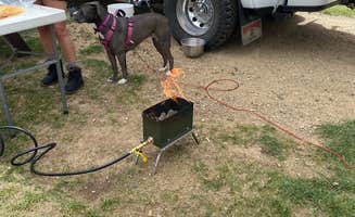 Jason S.'s photo of camping with pets at Taylor Park Trading Post near Almont, CO