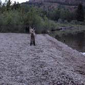 Review photo of Taylor Ranch Road Dispersed Camping by Casey B., June 29, 2024