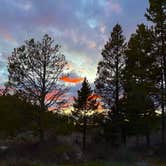 Review photo of Taylor Ranch Road Dispersed Camping by Hayley S., May 8, 2025