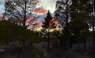 Hayley S.'s photo at Taylor Ranch Road Dispersed Camping near Kelly, WY