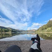 Review photo of Taylor Ranch Road Dispersed Camping by Casey B., June 29, 2024