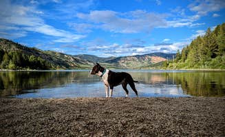 Casey B.'s photo of camping with pets at Taylor Ranch Road Dispersed Camping near Bridger-Teton National Forest
