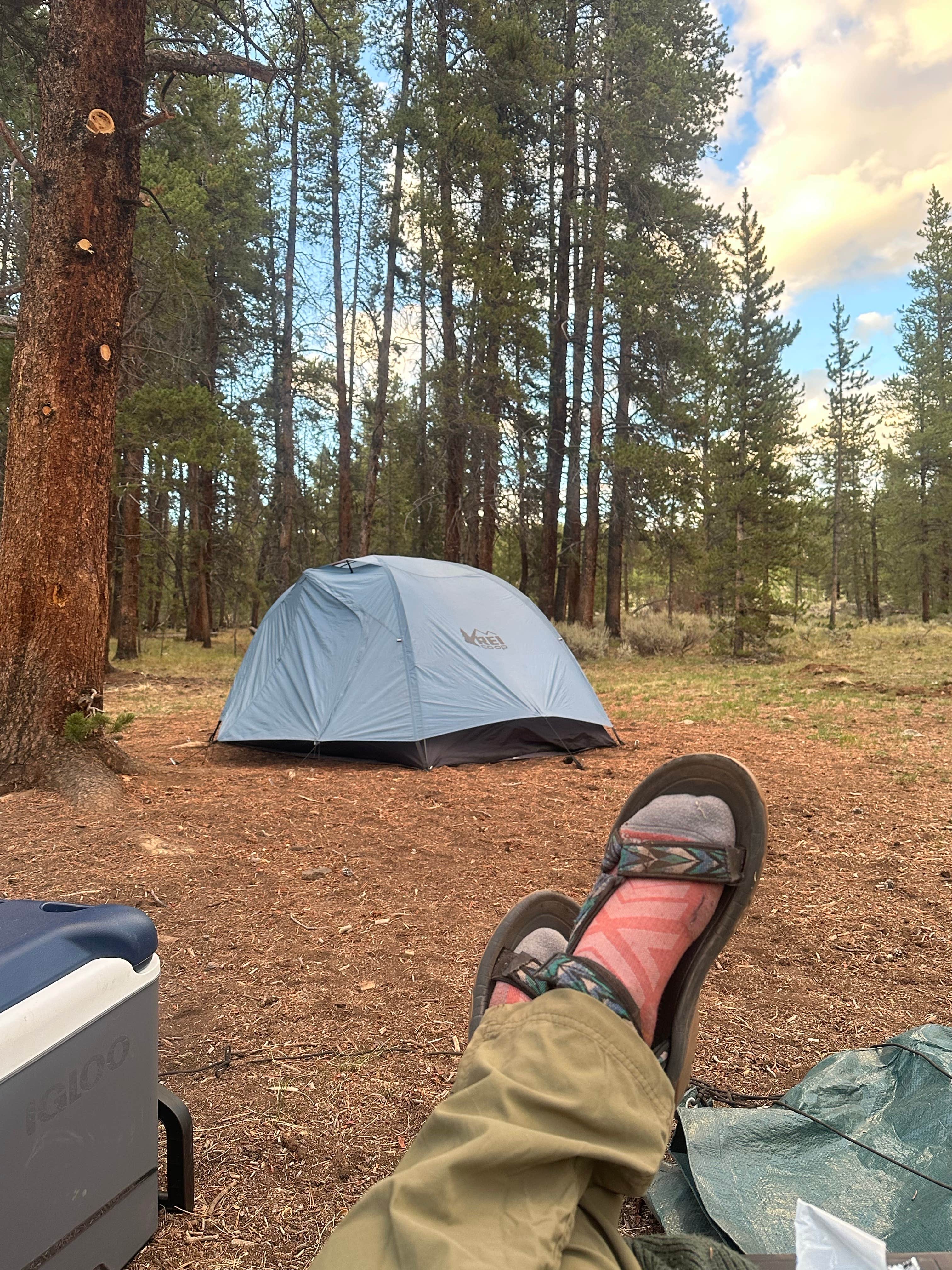Camper-submitted photo at Taylor Reservoir Dispersed near Almont, CO