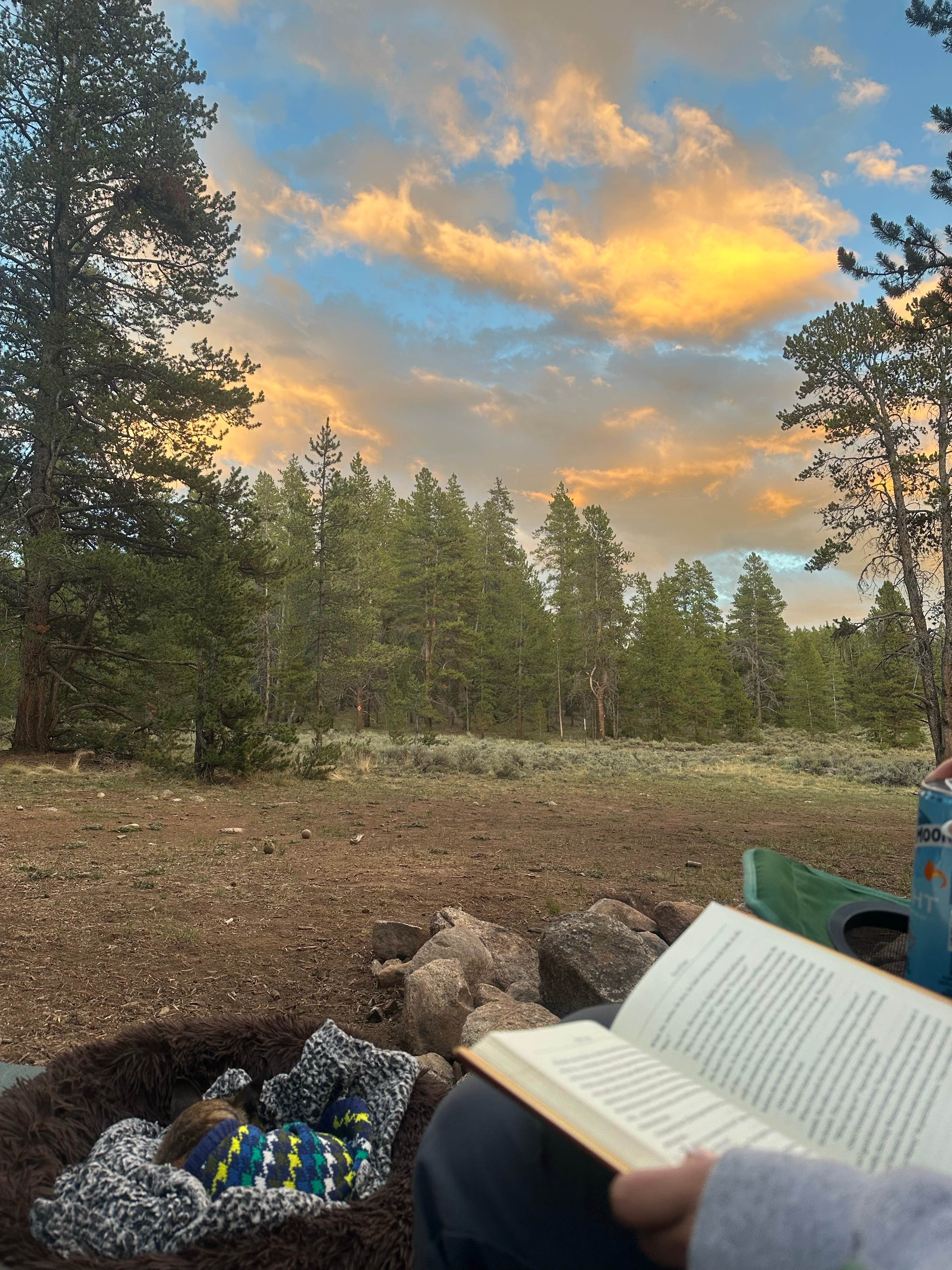 Camper-submitted photo at Taylor Reservoir Dispersed near Almont, CO