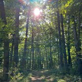 Review photo of Taylor Ridge Campground — Brown County State Park by Sam H., September 9, 2025