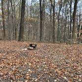 Review photo of Taylor Ridge Campground — Brown County State Park by Amanda D., November 13, 2024