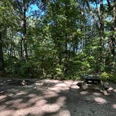 Review photo of Taylor Ridge Campground — Brown County State Park by Sam H., September 9, 2025