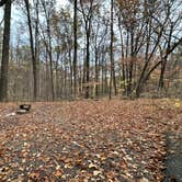 Review photo of Taylor Ridge Campground — Brown County State Park by Amanda D., November 13, 2024